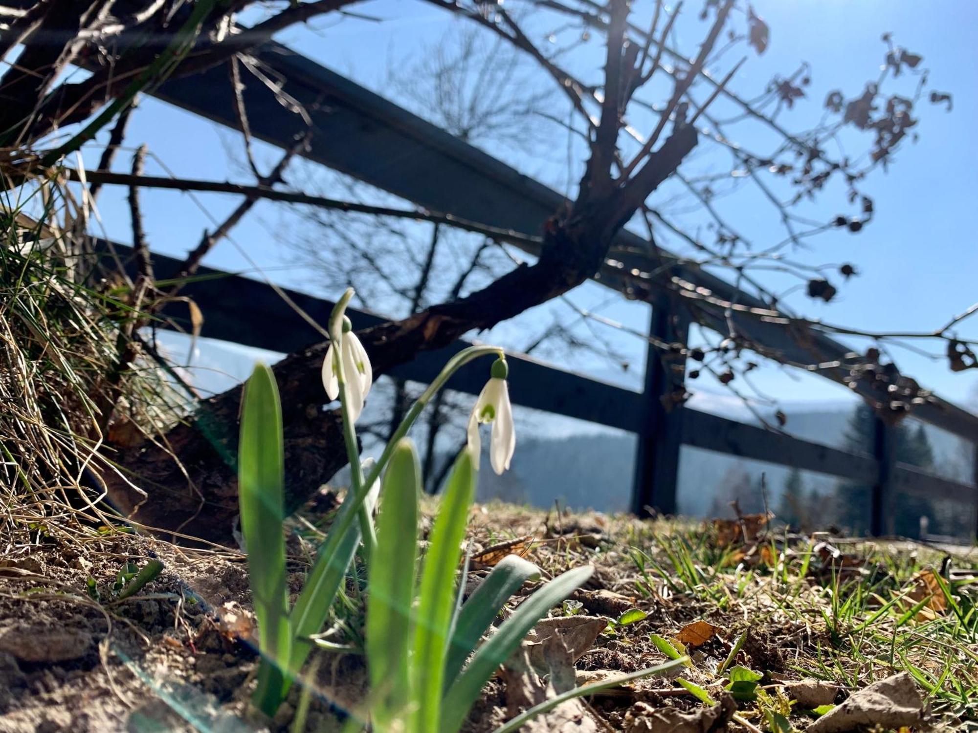 Romanka Zabnica 외부 사진
